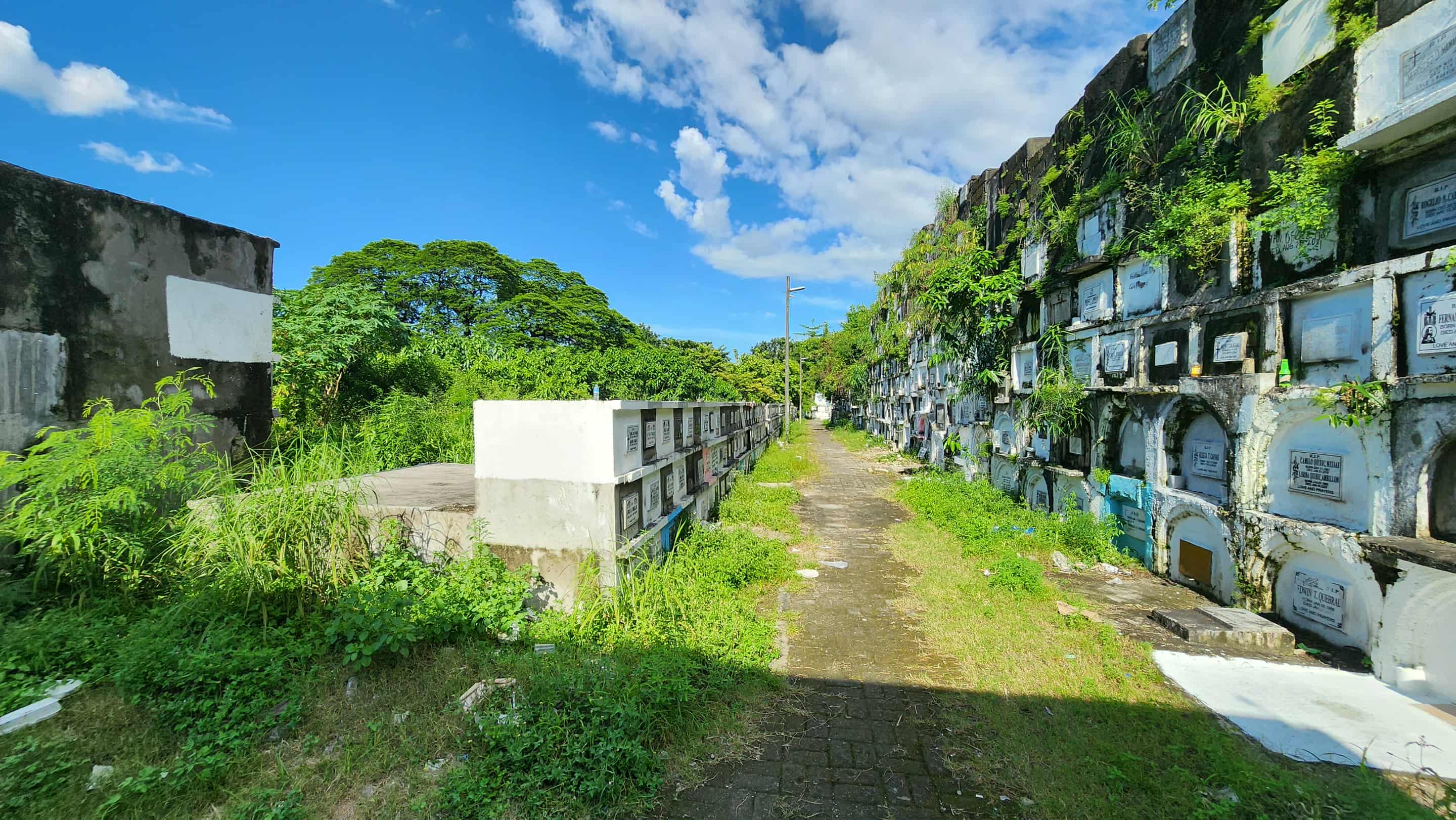 Serene Cemetery with Tree and Mausoleums